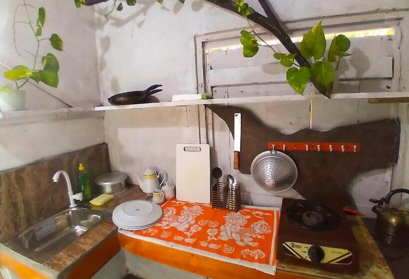 פנסיון Ocean Air Guesthouse And Villa Weligama Minute To Waves