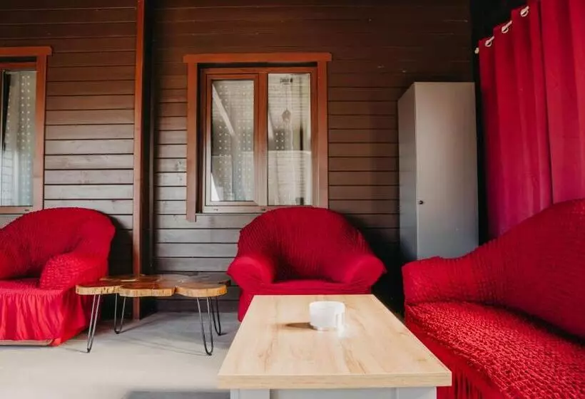 Pensiunea Suzanne Băile Figa