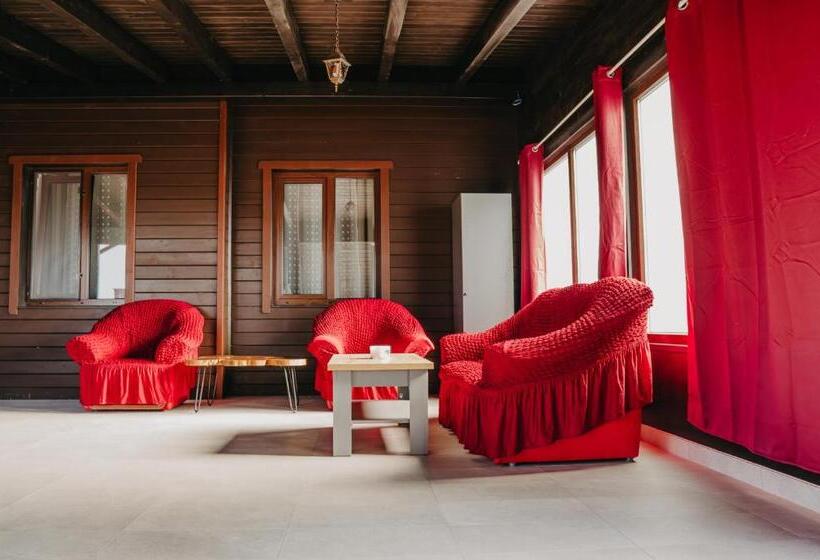 Pensiunea Suzanne Băile Figa