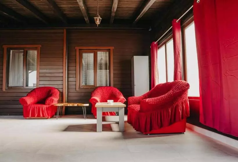 Pensiunea Suzanne Băile Figa