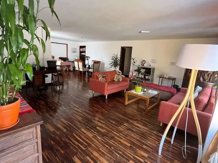 تختخواب و صبحانه Harmony Inn Miraflores