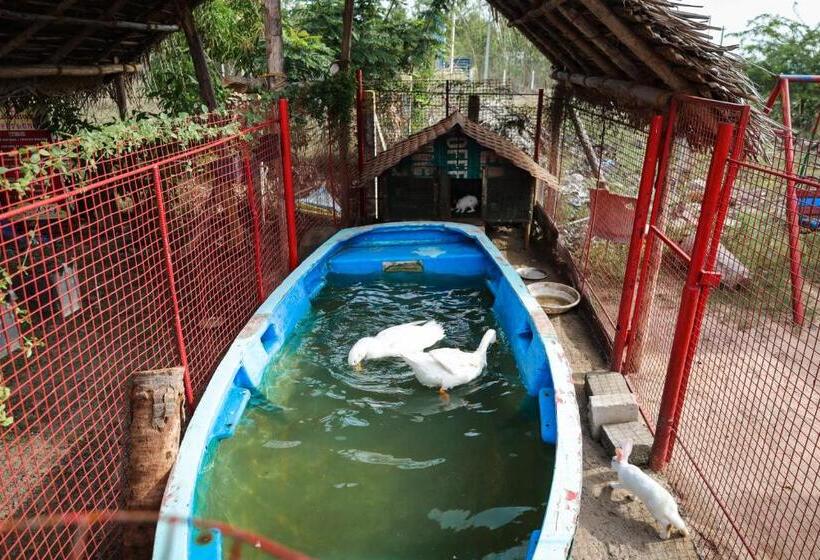 Hotel Rose Lake View Resort