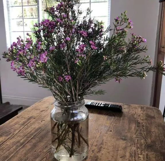 ペンション Lancaster House