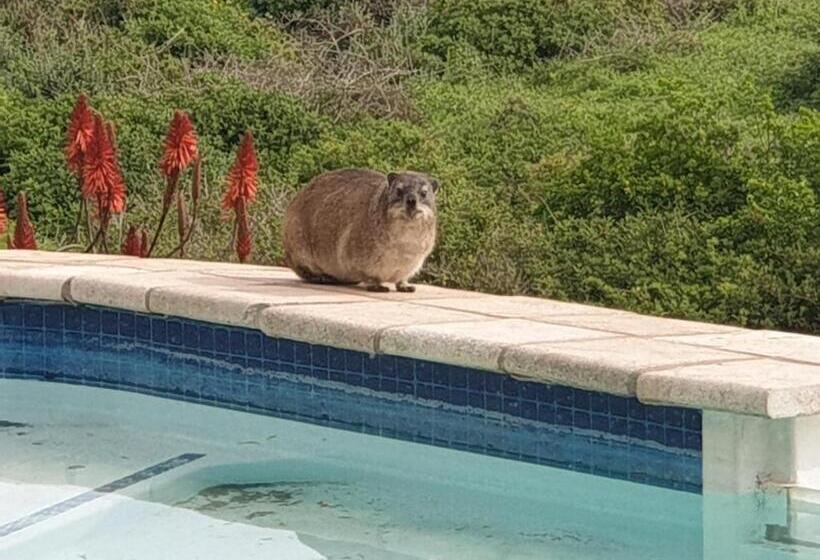 פנסיון The Boulders Langebaan