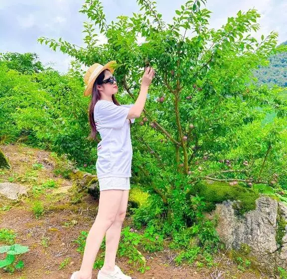 هتل đồi Chè