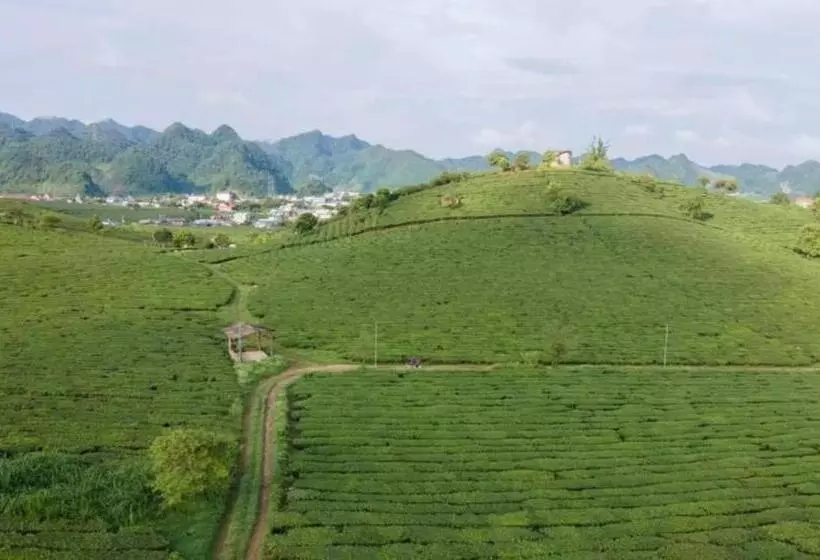 هتل đồi Chè