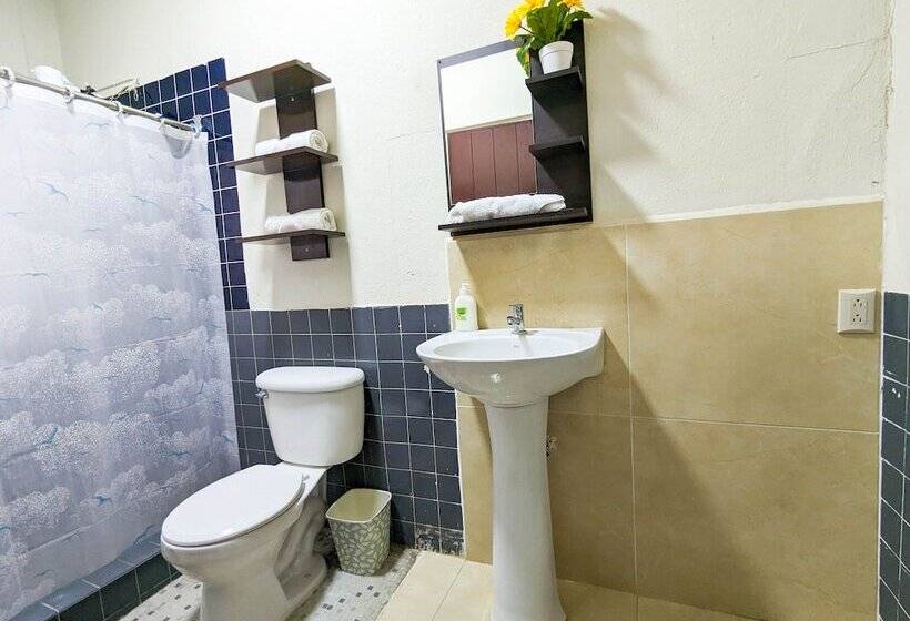 پانسیون Del Tingo Al Tango Hostal