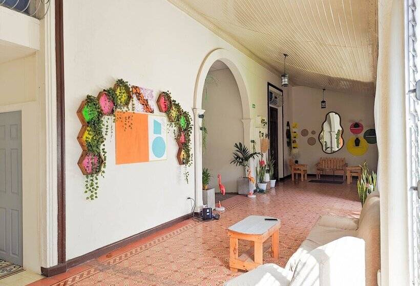 پانسیون Del Tingo Al Tango Hostal