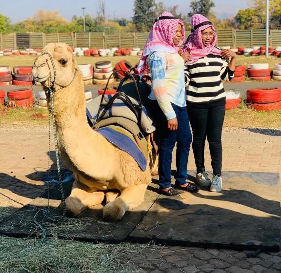 민박 Ten Flags Theme Park