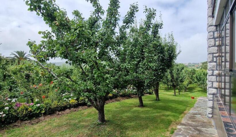 פנסיון Cosma House