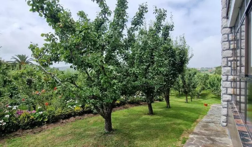 Majatalo Cosma House