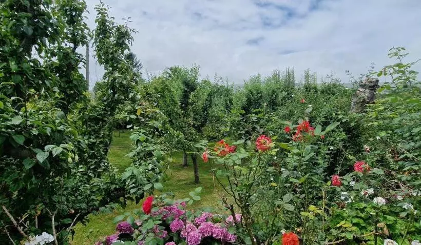 Majatalo Cosma House