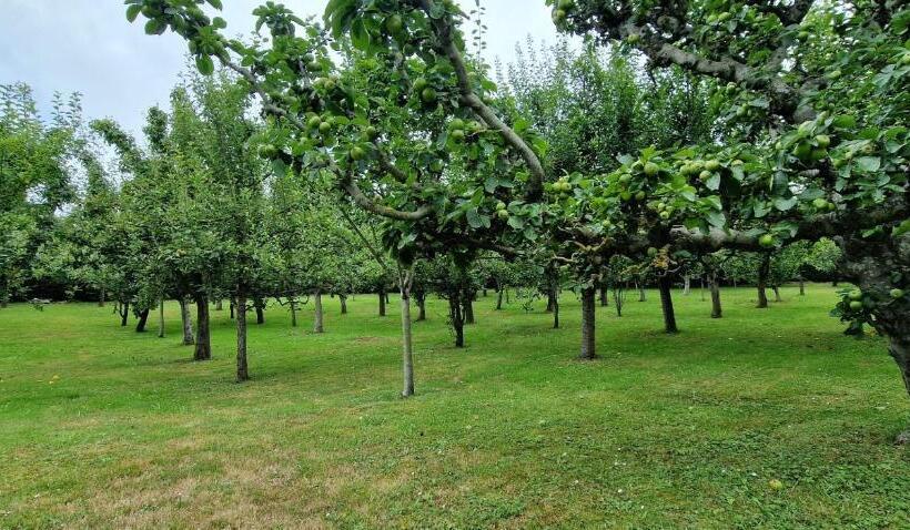 פנסיון Cosma House