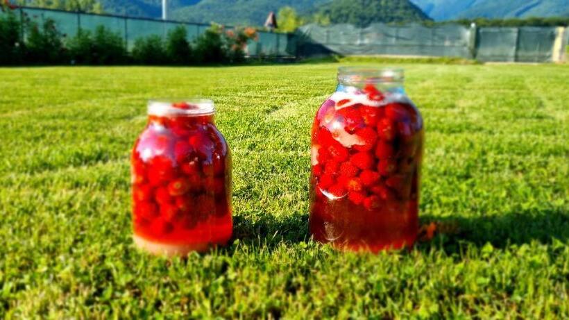 بنسيون Gioelli Paradis