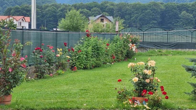 بنسيون Gioelli Paradis