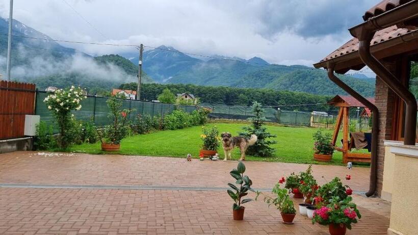 بنسيون Gioelli Paradis