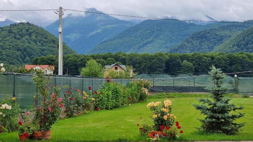 بنسيون Gioelli Paradis