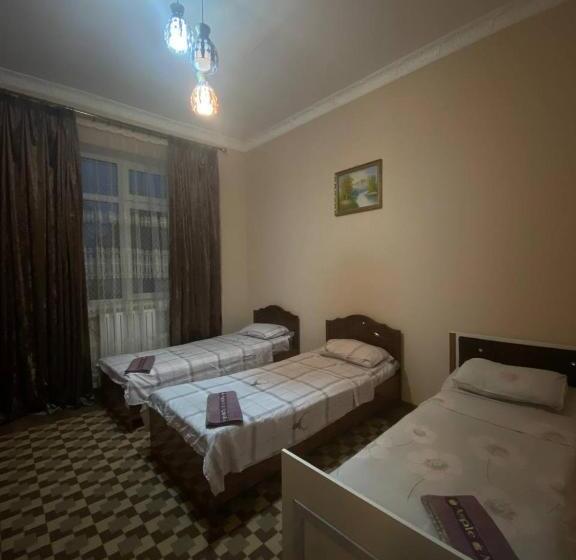 פנסיון Sam Greenhouse Hostel