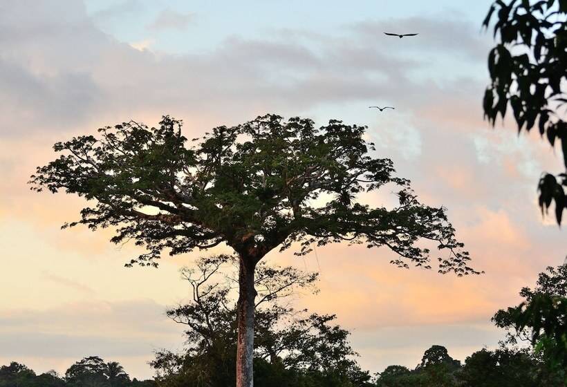 Apartamentos Herrera