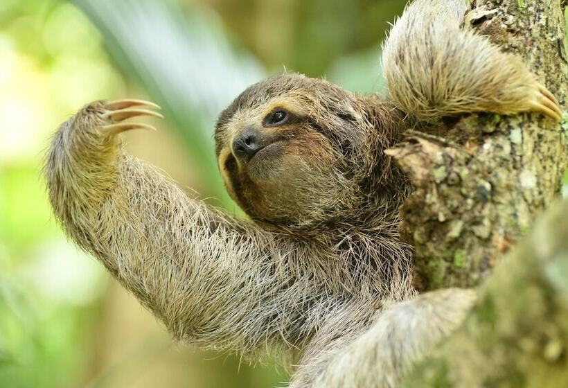 Apartamentos Herrera