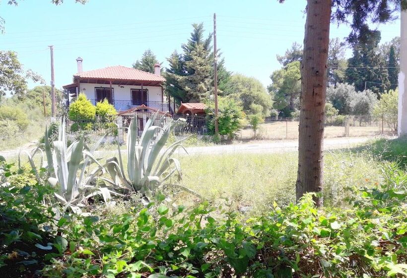 Artemis Studios & Apartments