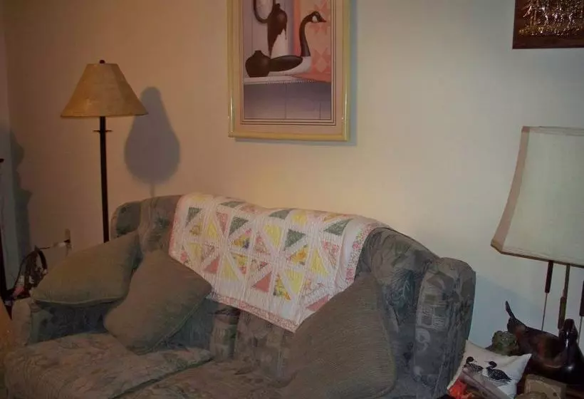 Bear House B&b