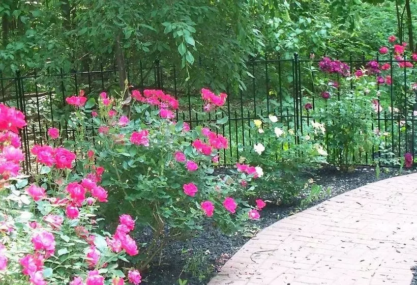 Bear House B&b