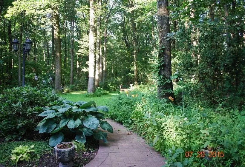 Bear House B&b