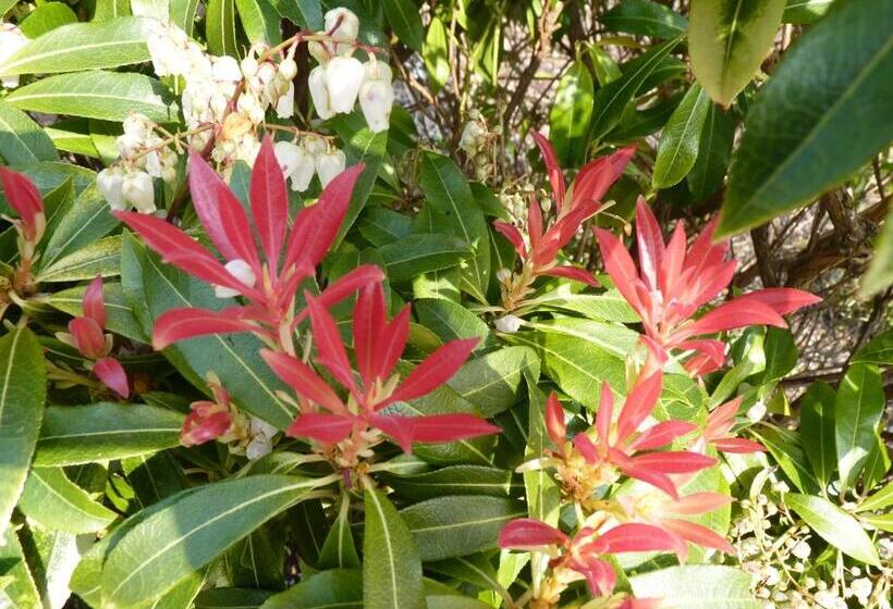 مبيت وإفطار Torine House