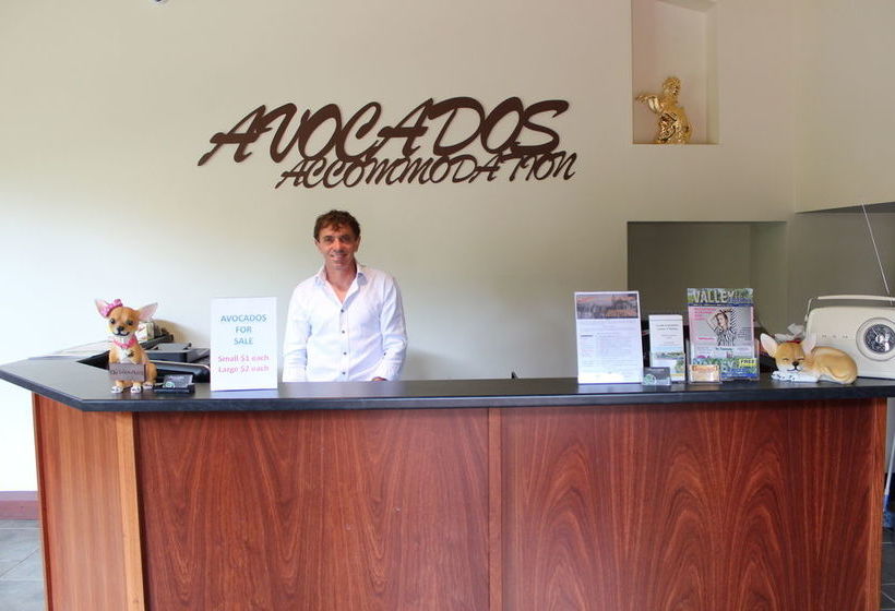 Fotos del hotel Avocados Accommodation:  17