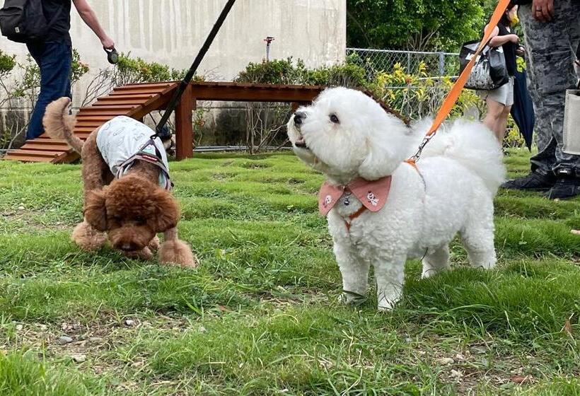 هتل Howard Kenting Wonder House