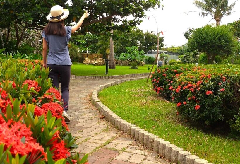 هتل Howard Kenting Wonder House