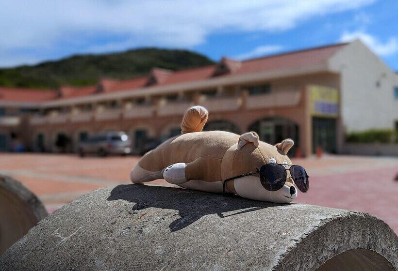 هتل Howard Kenting Wonder House