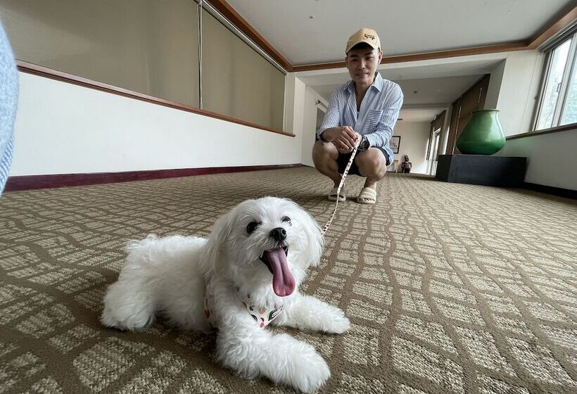 هتل Howard Kenting Wonder House