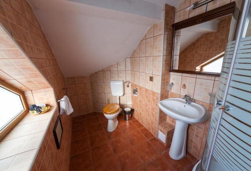 فندق Pension Brasovu Vechi