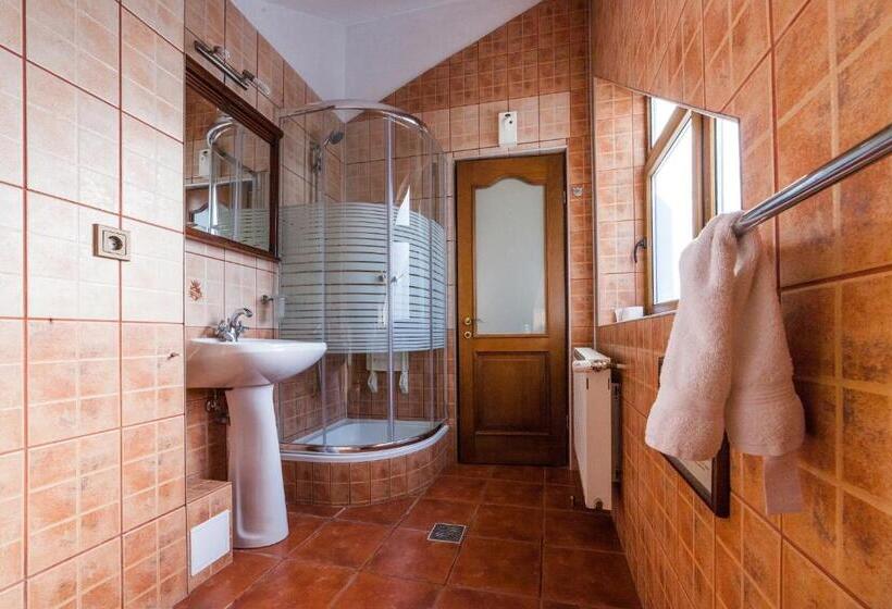 فندق Pension Brasovu Vechi