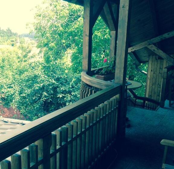 فندق Pension Brasovu Vechi