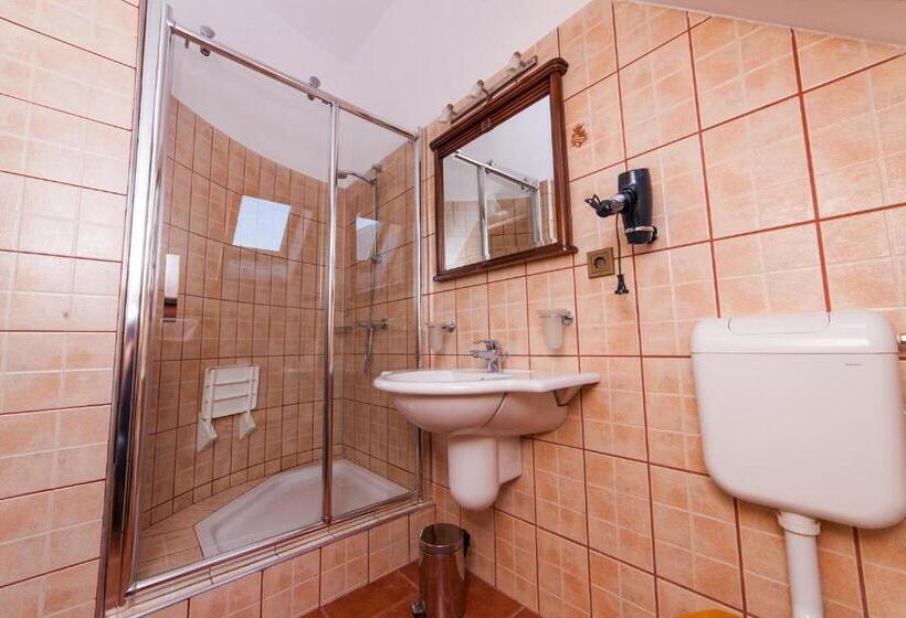 فندق Pension Brasovu Vechi