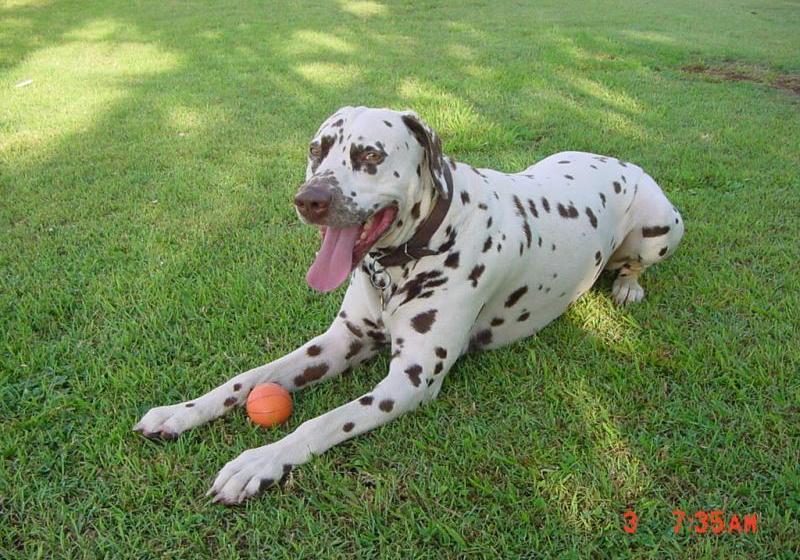 ホテル Tropical Coast Retreat