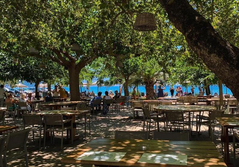 בית מלון כפרי Zoe Seaside Resort