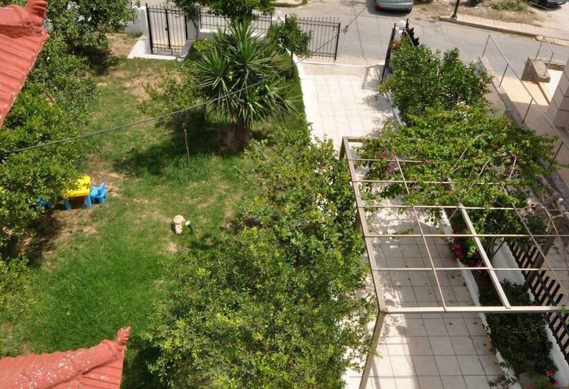 Ocean Village Apartments By Ocean Residences