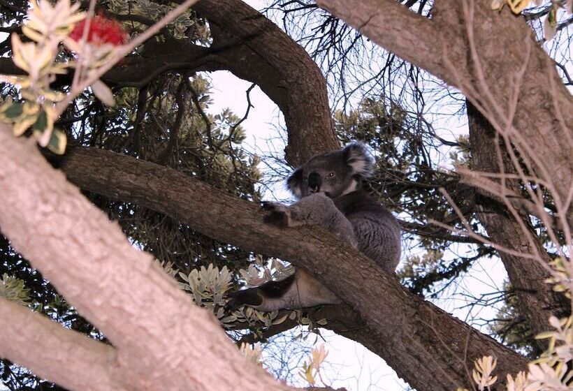 Portland Retro Motel