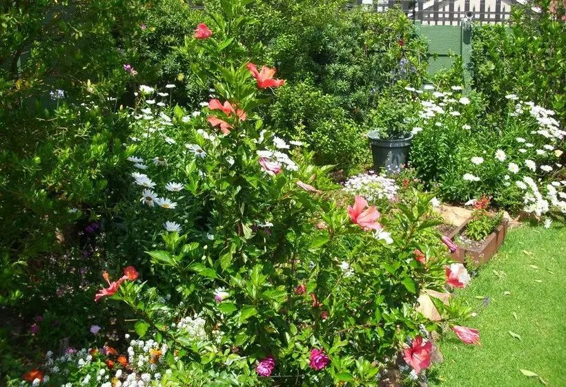 Silver Birch Bed And Breakfast