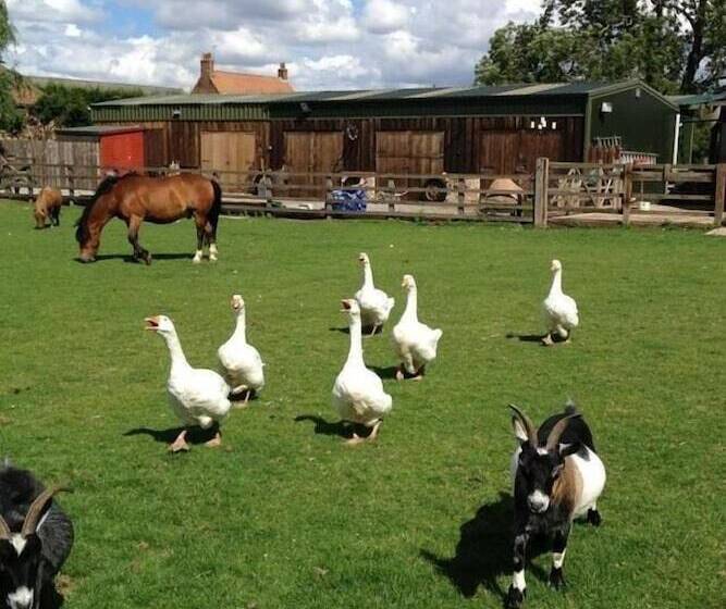Skipbridge Farm Glamping