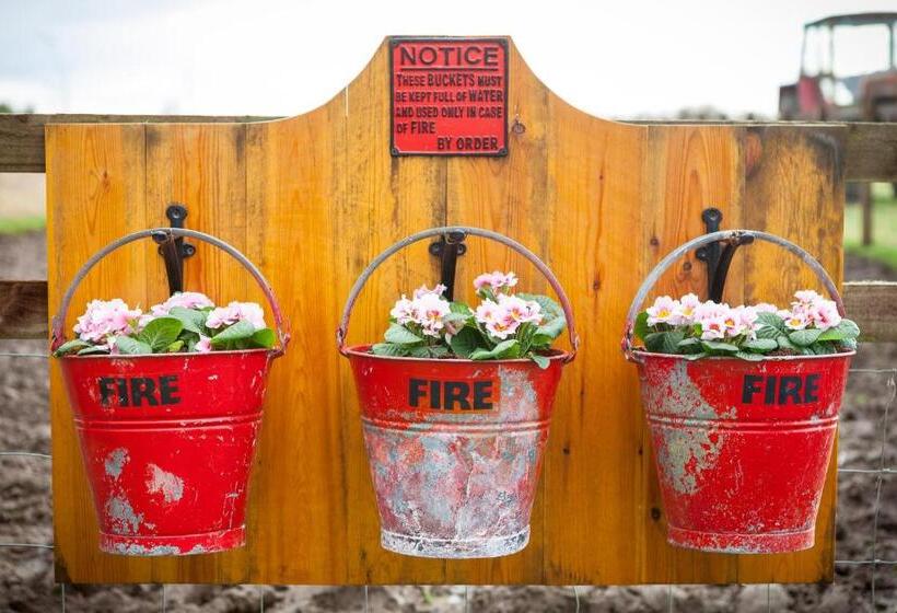 Skipbridge Farm Glamping