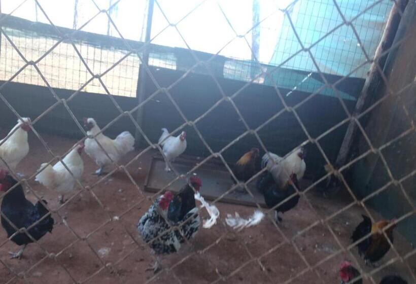 The Cradle Berry Farm