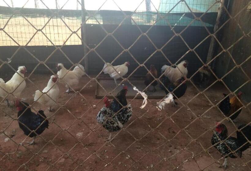 The Cradle Berry Farm