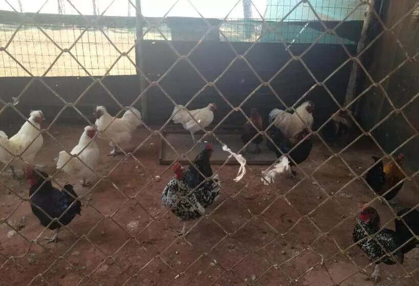 The Cradle Berry Farm