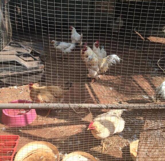 The Cradle Berry Farm