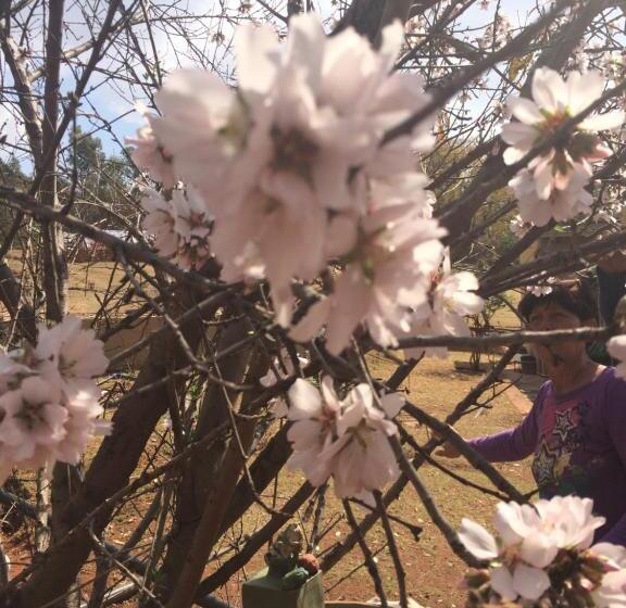 The Cradle Berry Farm